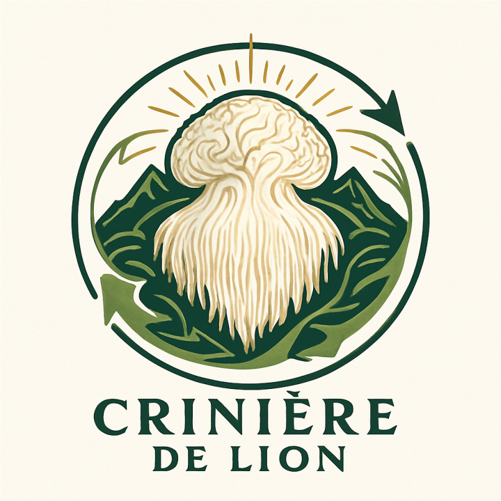Bons Champignons CRINIERE DE LION cultivé à Coublevie, France