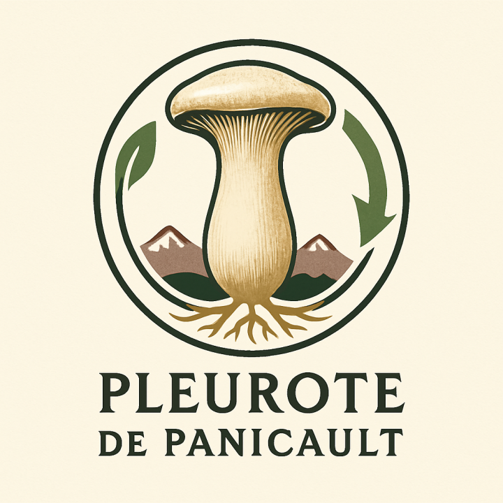 Pleurote PERLE NOIR cultivé en France, dans les Alpes