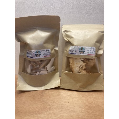 Pack Crinière de Lion + Shiitake
