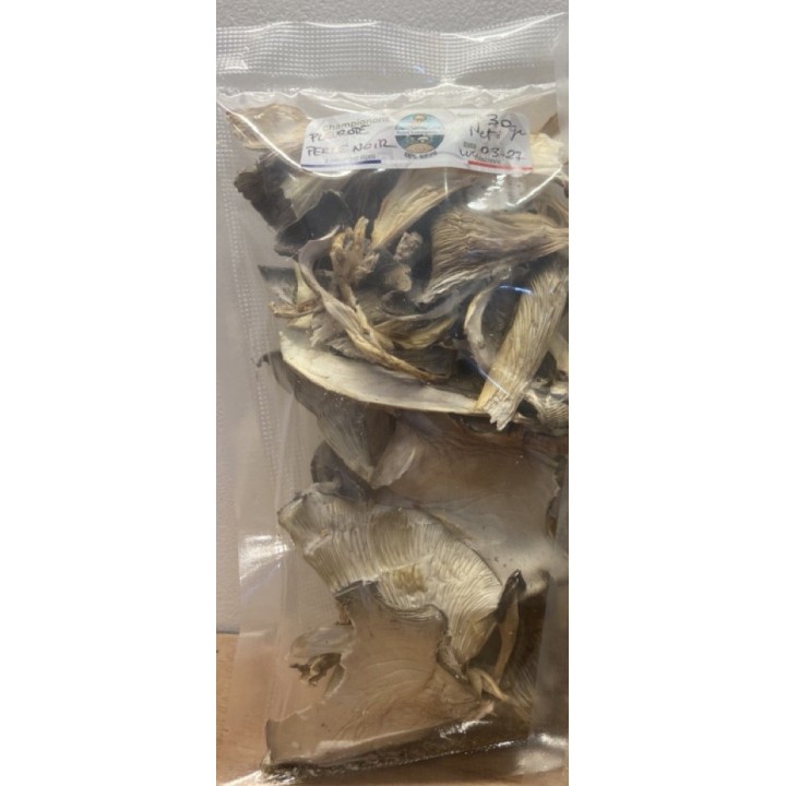 Pleurotes PERLE NOIR cultivés en France, dans les Alpes