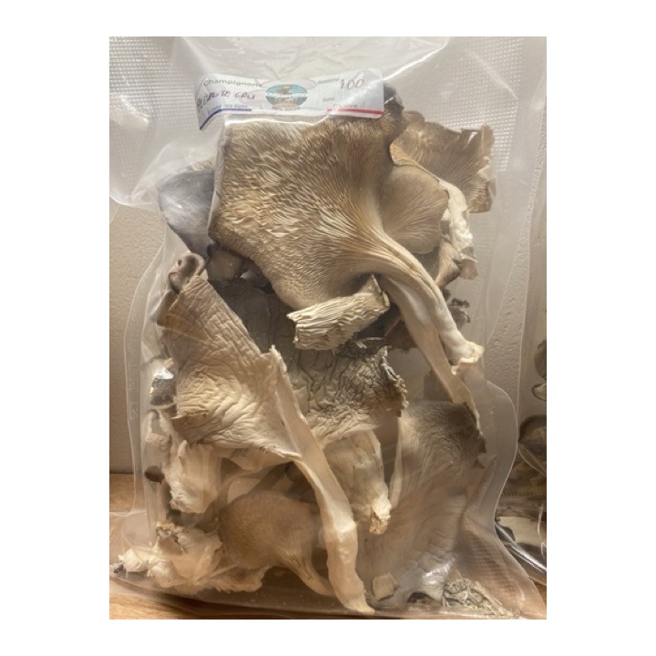 Pleurotes Gris cultivés en France,