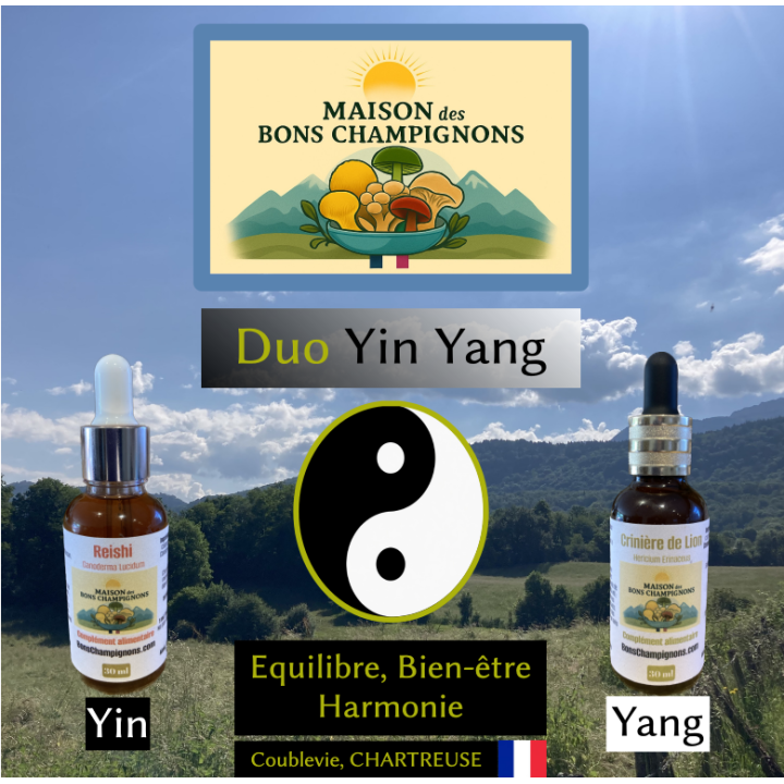 Pack Duo Yin Yang – Reishi & Crinière de Lion | Extraits Bio | Maison des Bons Champignons – COUBLEVIE, VOIRON, Chartreuse