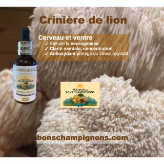 Flacon Extrait CRINIERE DE LION