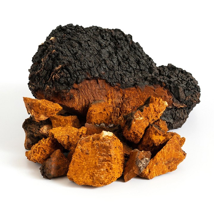 Flacon Extrait Chaga