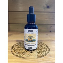 Flacon Chaga (+ concentré)