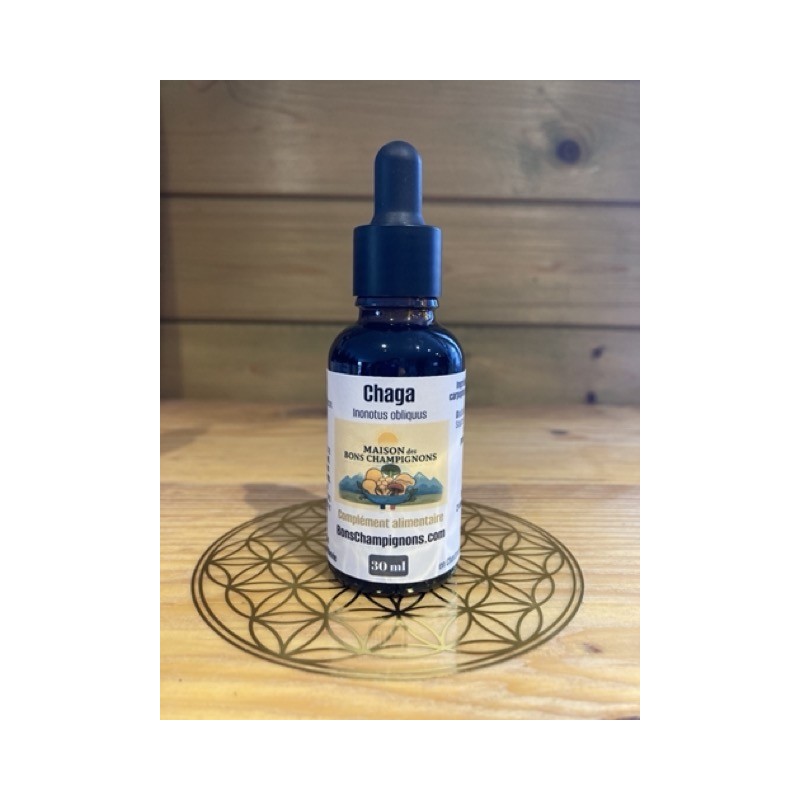 Flacon Extrait Chaga Flacon Extrait Chaga