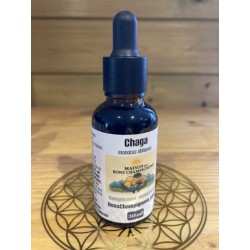 Flacon Chaga (+ concentré) Flacon Chaga (+ concentré)