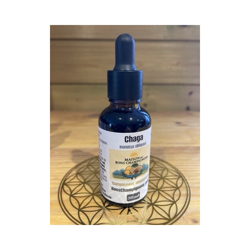Flacon Extrait Chaga Flacon Extrait Chaga