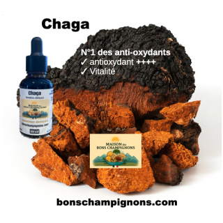 Flacon Extrait Chaga