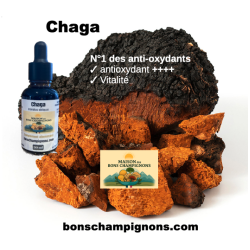 Flacon Extrait Chaga