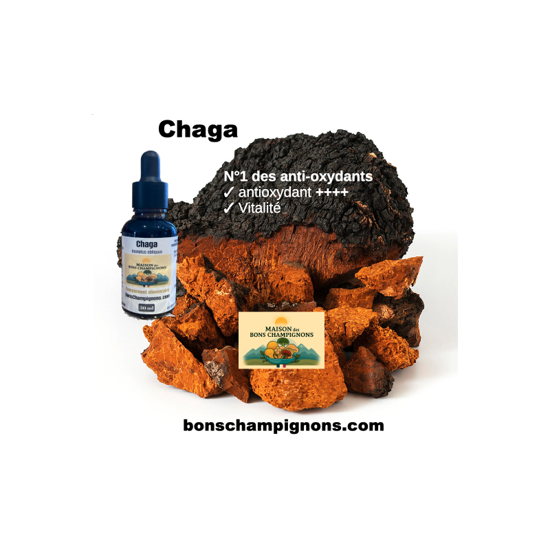 Flacon Extrait Chaga Flacon Extrait Chaga