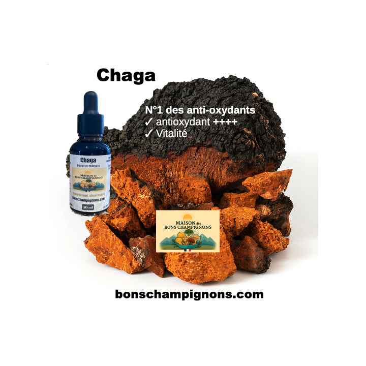 Flacon Extrait Chaga