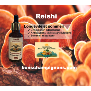 Bons Champignons REISHI cultivé en France