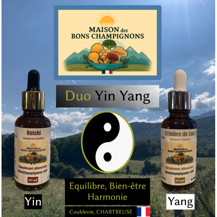 Duo Yin Yang Reishi Crinière de lion Bons Champignons Coublevie France