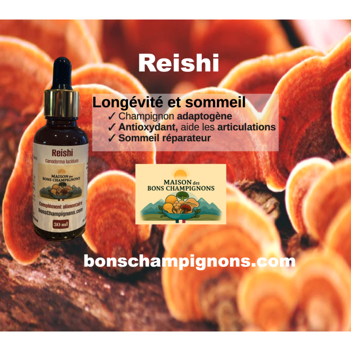 Pack Reishi Crinière de Lion shiitake FRANCE | Extraits Bio | Maison des Bons Champignons – FRANCE CHARTREUSE COUBLEVIE VOIRON