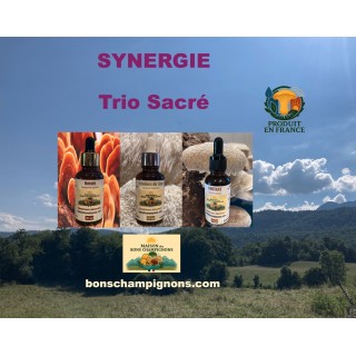 Pack Reishi Crinière de Lion shiitake FRANCE | Extraits Bio | Maison des Bons Champignons – FRANCE CHARTREUSE COUBLEVIE VOIRON