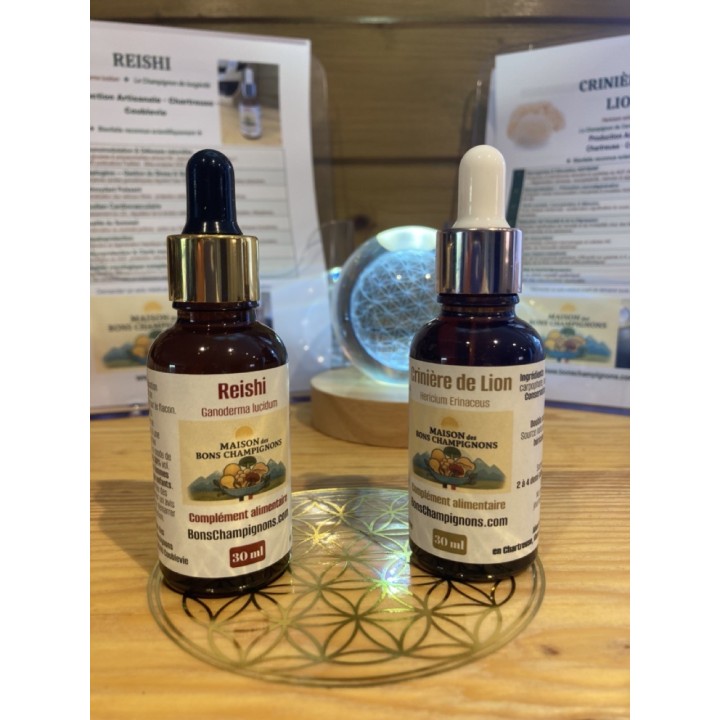 3 mois pack Duo Yin Yang – Reishi Crinière de Lion | Extraits Bio | Maison des Bons Champignons – COUBLEVIE, VOIRON, Chartreuse
