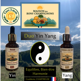 Cure 3 mois Reishi et Crinière de lion, le Duo Yin Yang des Alpes, produit en France.