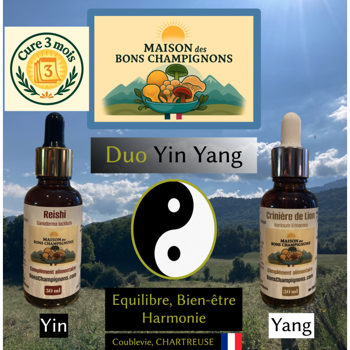 Cure 3 mois Reishi et Crinière de lion, le Duo Yin Yang des Alpes, produit en France.