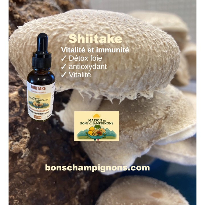 Pack Duo Yin Yang – Reishi & Crinière de Lion | Extraits Bio | Maison des Bons Champignons – COUBLEVIE, VOIRON, Chartreuse