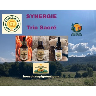 Pack Duo Yin Yang – Reishi & Crinière de Lion | Extraits Bio | Maison des Bons Champignons – COUBLEVIE, VOIRON, Chartreuse