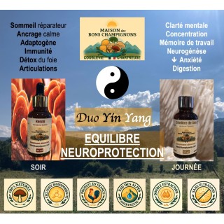 Pack Reishi Crinière de Lion FRANCE Duo Yin Yang | Extraits Bio | Maison des Bons Champignons – CHARTREUSE, COUBLEVIE, VOIRON