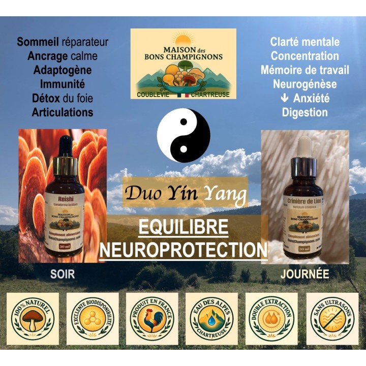 Pack Reishi Crinière de Lion FRANCE Duo Yin Yang | Extraits Bio | Maison des Bons Champignons – CHARTREUSE, COUBLEVIE, VOIRON