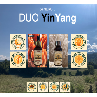 Pack Reishi Crinière de Lion FRANCE Duo Yin Yang | Extraits Bio | Maison des Bons Champignons – CHARTREUSE, COUBLEVIE, VOIRON
