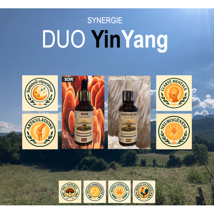Pack Reishi Crinière de Lion FRANCE Duo Yin Yang | Extraits Bio | Maison des Bons Champignons – CHARTREUSE, COUBLEVIE, VOIRON