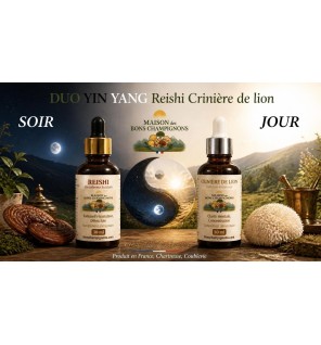 Pack Reishi Crinière de Lion FRANCE Duo Yin Yang | Extraits Bio | Maison des Bons Champignons – CHARTREUSE, COUBLEVIE, VOIRON