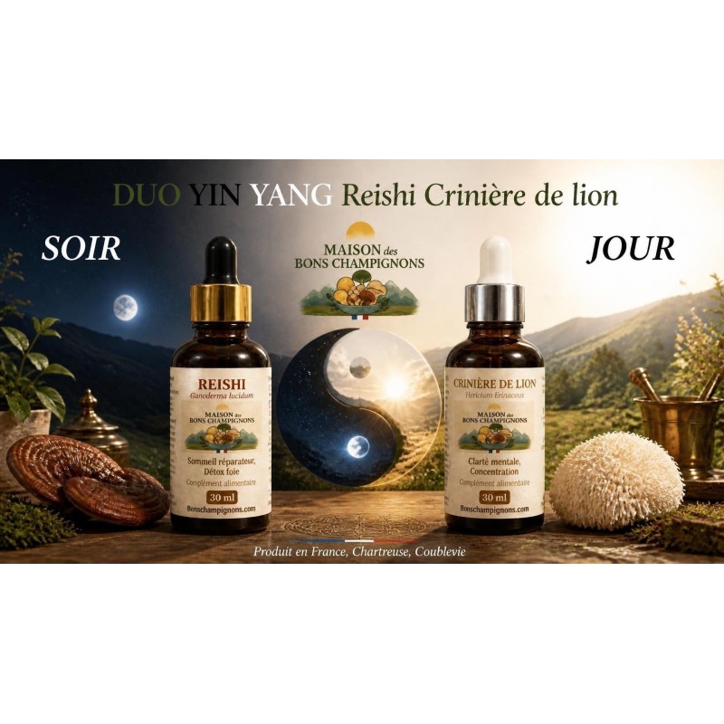Pack Reishi Crinière de Lion FRANCE Duo Yin Yang | Extraits Bio | Maison des Bons Champignons – CHARTREUSE, COUBLEVIE, VOIRON