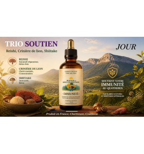 Pack Reishi Crinière de Lion shiitake FRANCE | Extraits Bio | Maison des Bons Champignons – FRANCE CHARTREUSE COUBLEVIE VOIRON