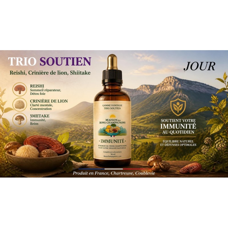 Pack Reishi Crinière de Lion shiitake FRANCE | Extraits Bio | Maison des Bons Champignons – FRANCE CHARTREUSE COUBLEVIE VOIRON Pack Reishi Crinière de Lion shiitake FRANCE | Extraits Bio | Maison des Bons Champignons – FRANCE CHARTREUSE COUBLEVIE VOIRON