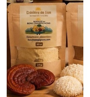Bons Champignons CRINIERE DE LION cultivé à Coublevie, France