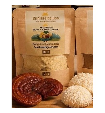 Bons Champignons CRINIERE DE LION cultivé à Coublevie, France