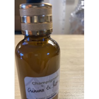 ELIXIR Crinière de lion