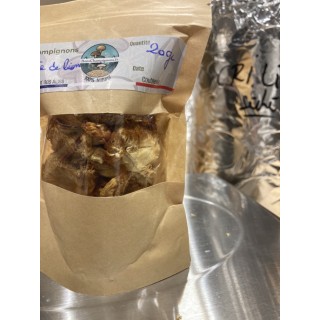 Bons Champignons CRINIERE DE LION cultivé à Coublevie, France