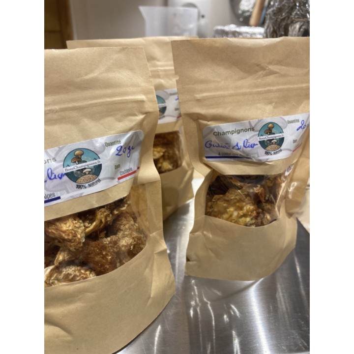Bons Champignons CRINIERE DE LION cultivé à Coublevie, France