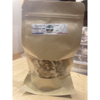 Pleurote Gris cultivé en France,