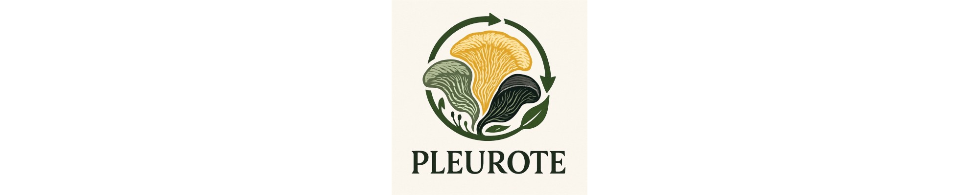 PLEUROTES DELICIEUX