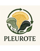 PLEUROTES DELICIEUX
