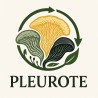 PLEUROTES