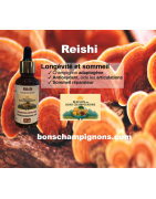 Reishi bio : sommeil, stress et immunité | Bonschampignons