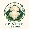 Champignons du cerveau
