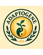 Champignon soutenant l'immunité