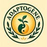 Adaptogène, immunité