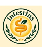 Champignons médicinaux et intestins