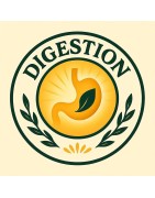 Digestion, ulcère gastrique