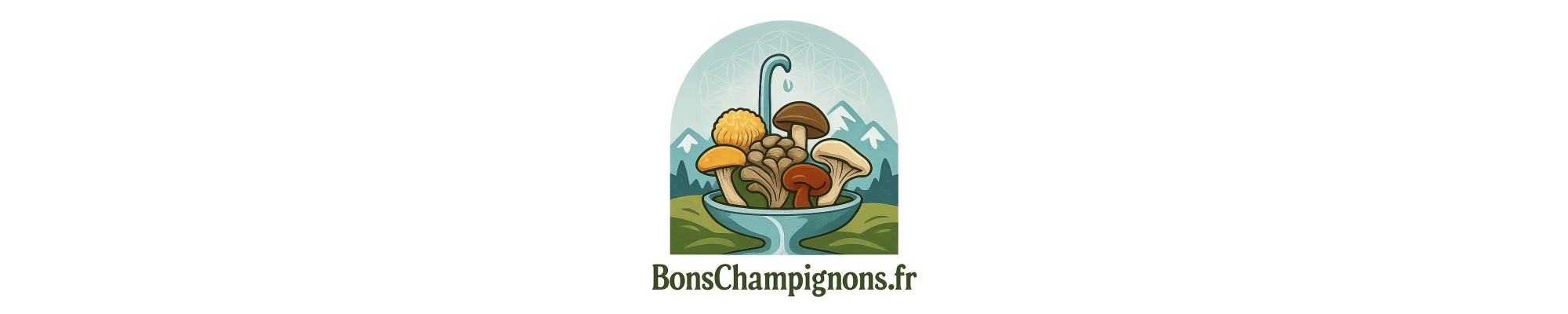 bons champignons shiitake, crinière de lion, pleurote