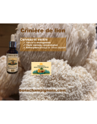 Crinière de Lion extrait Français